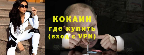 дживик Карпинск
