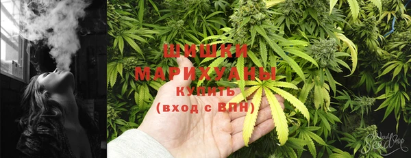 дживик Карпинск