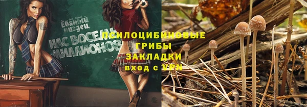 дживик Карпинск