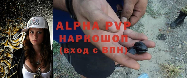 дживик Карпинск