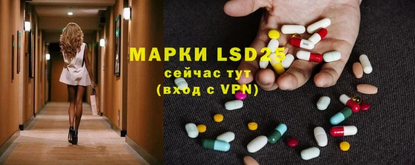 дживик Карпинск