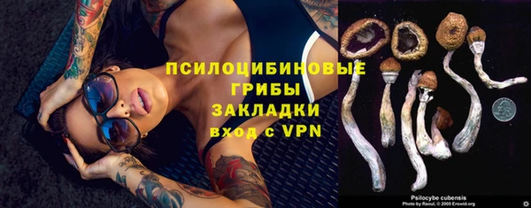 спайс Касимов