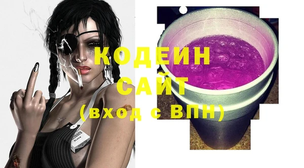 дживик Карпинск