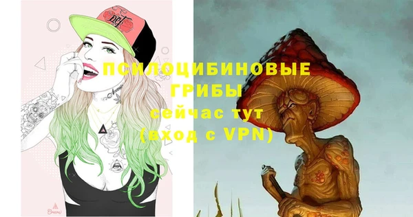 спайс Касимов
