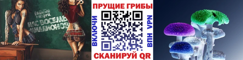 Галлюциногенные грибы MAGIC MUSHROOMS  Лангепас 