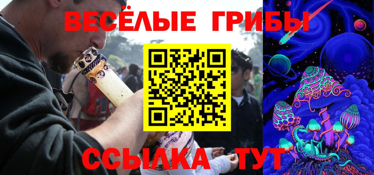 Галлюциногенные грибы Psilocybine cubensis Лангепас