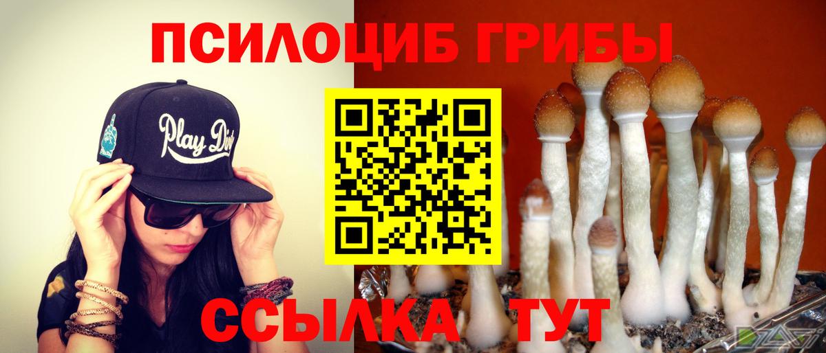 Псилоцибиновые грибы Psilocybe  закладки  Галлюциногенные грибы Psilocybine cubensis  Лангепас  Вход с VPN 