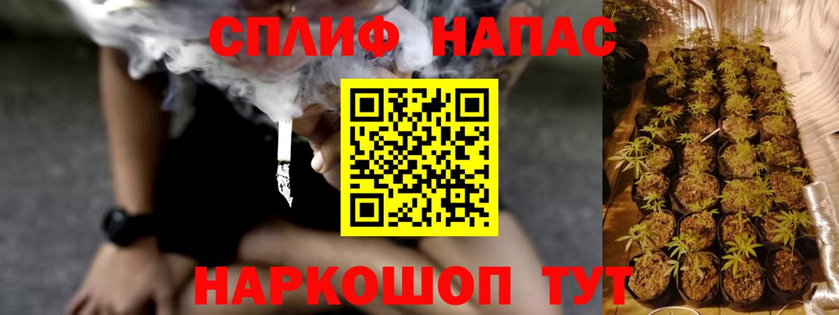 Канабис план Лангепас